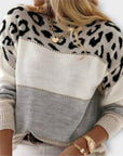Cheyenne - Casual Sweater with Leopard Design